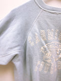 60's BABY BLUE CARMICHAEL COUGARS VINTAGE SWEATSHIRT